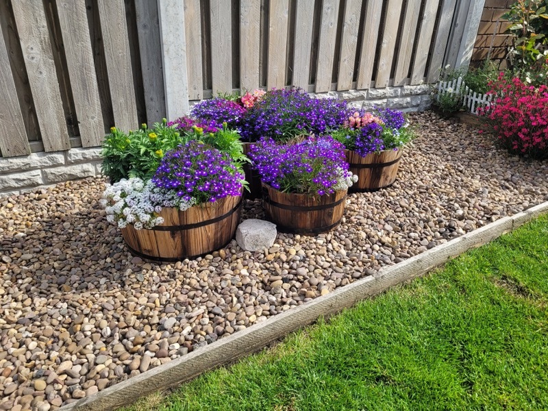 Other image for Barnsley’s Best Gardens: ‘I would go insane without my garden’ says green-fingered Michael